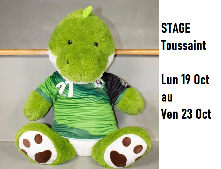 STAGE TOUSSAINT