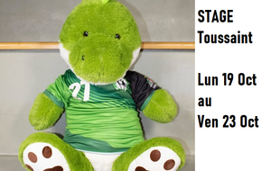 STAGE TOUSSAINT